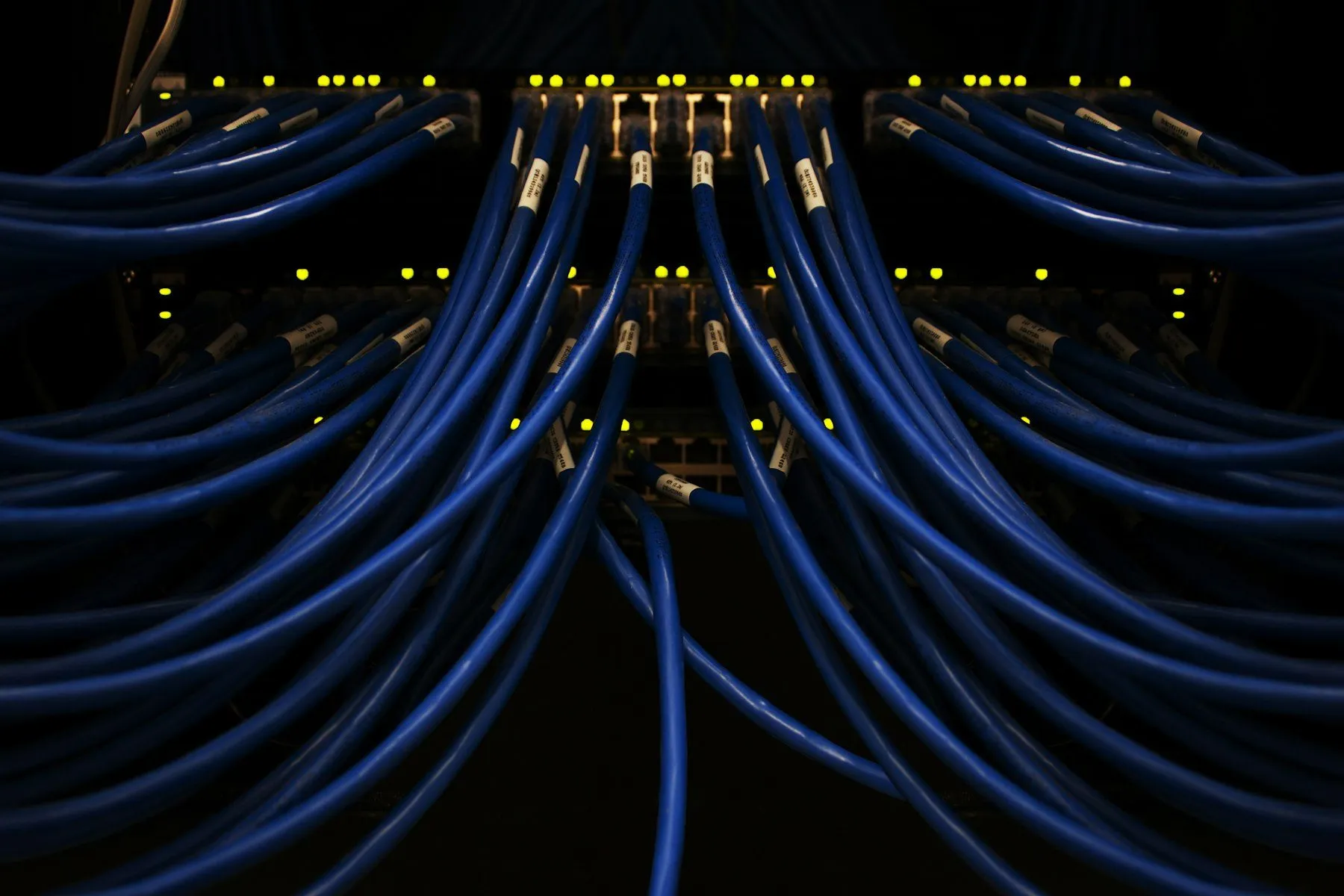 A bundle of blue network cables.
