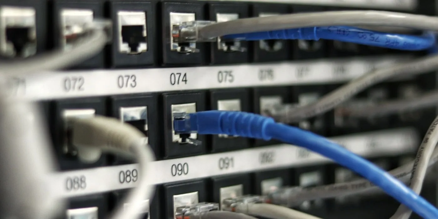 Blue and grey Ethernet patch cables plugged into the numbered RJ45 ports of a patch panel.