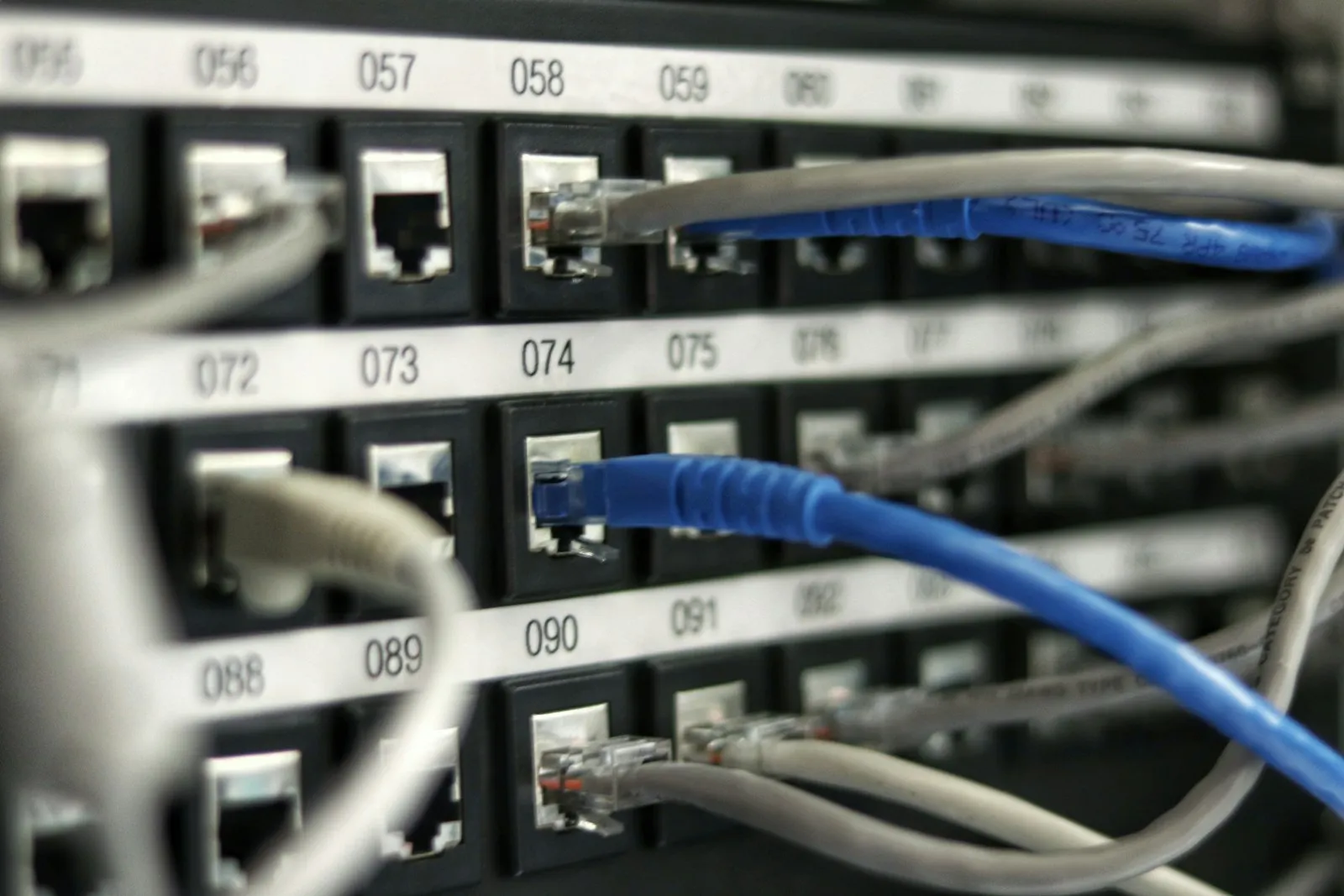 A network patch panel with numbered ports and blue and gray Ethernet patch cords.