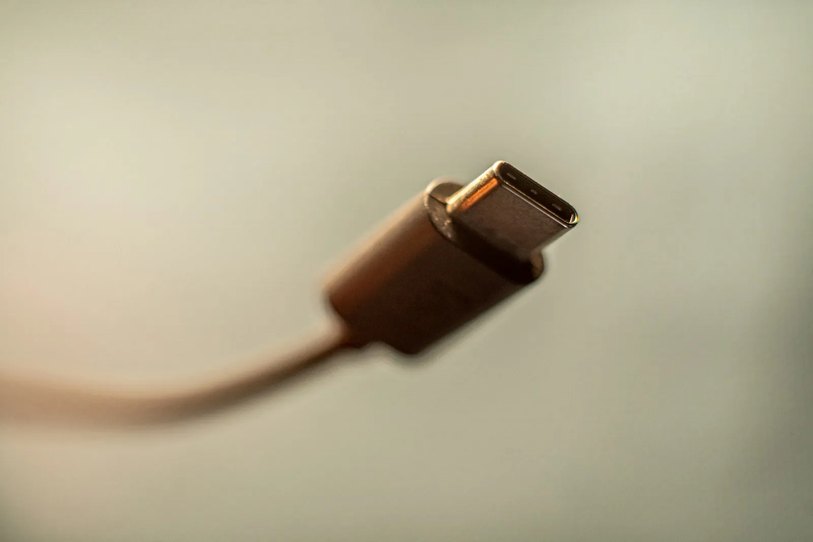 Close-up of a molded USB-C cable connector showing the overmolded body and the strain relief where the cable enters.